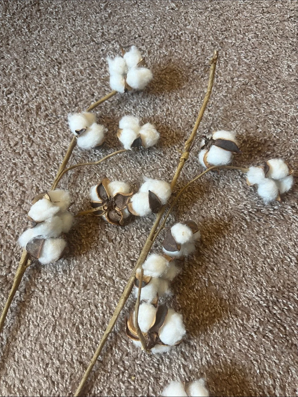 Cotton Sticks/FREE